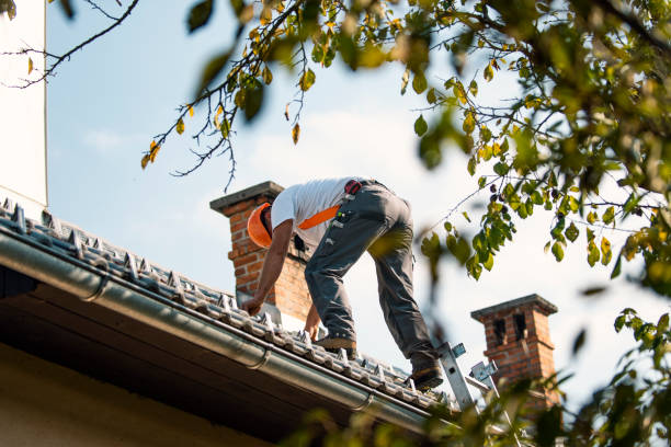 Best Commercial Roofing Services  in Apple Valley, UT