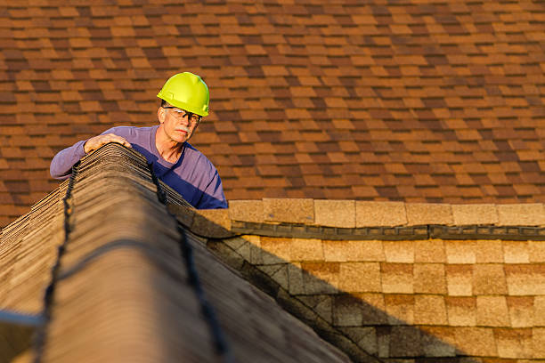 Best Metal Roofing Contractor  in Apple Valley, UT