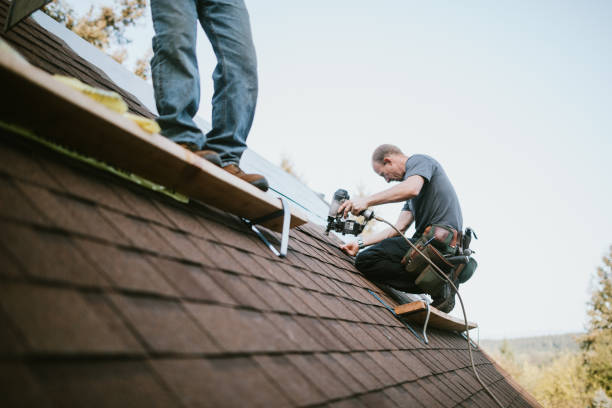 Professional Roofing Contractor in Apple Valley, UT